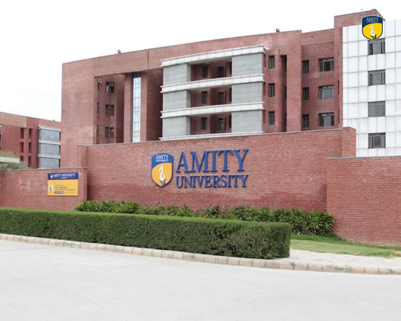 Amity University Gurgaon image