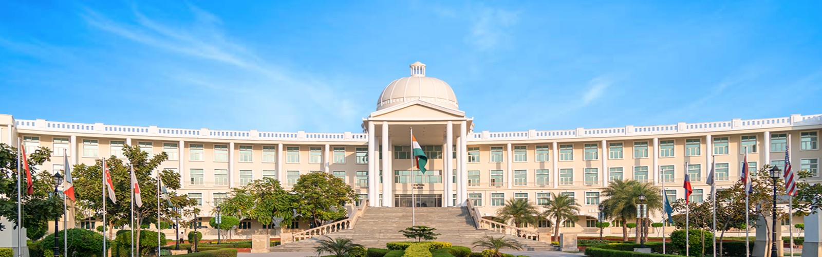 Noida International University Image