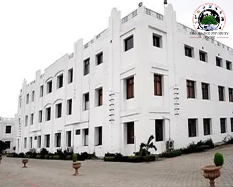 Renaissance University image
