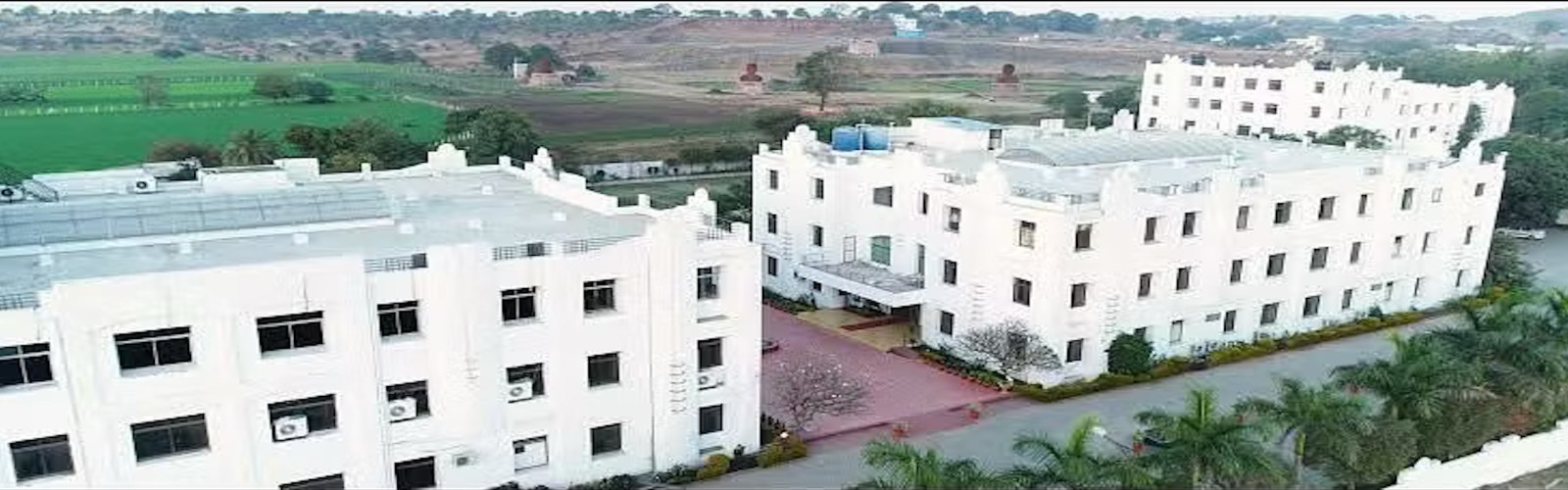 Renaissance University image