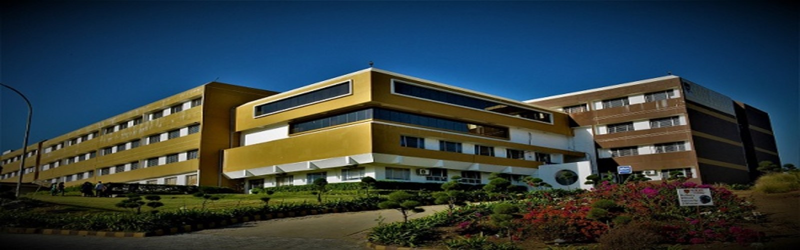 sage university