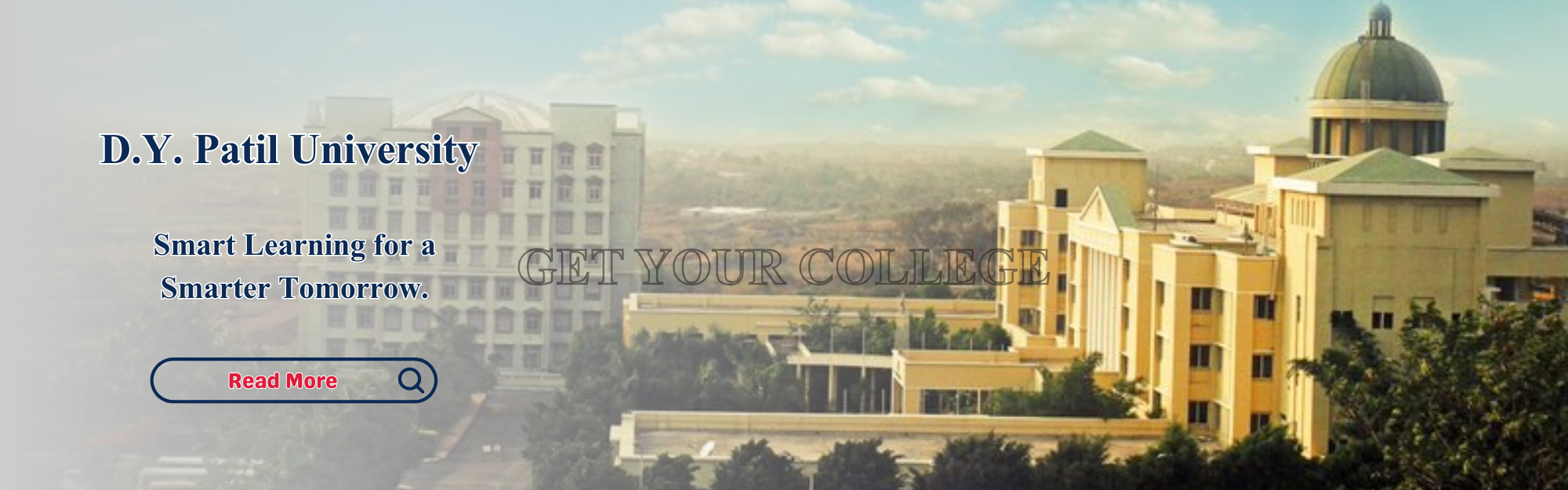 D.Y Patil University